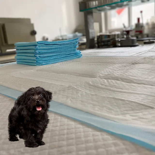 Mesh surface charcoal puppy pads