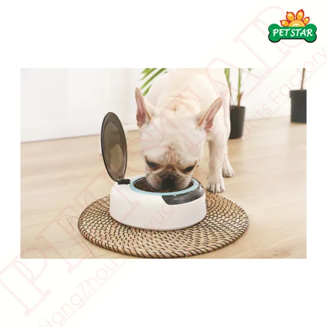 Pet Feeding Bowl