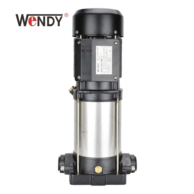 Cast iron vertical multistage pump