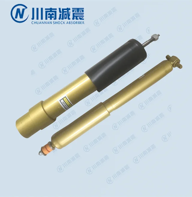 CN010 Auto shock absorber