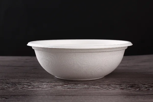 Sugarcane bagasse pulp salad bowl/soup bowl