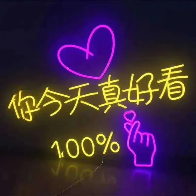 LED Neon Light 12v/220v 6x12/8x16