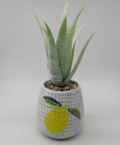 # flower pot, planter, garden pot, ceramic pot, ceramic vase