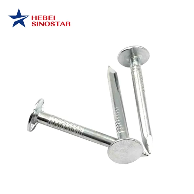 Galvanized Big Flat Head Nail Smooth Shank Nails
