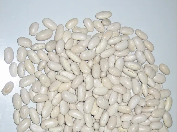 Spanish Kidney Beans