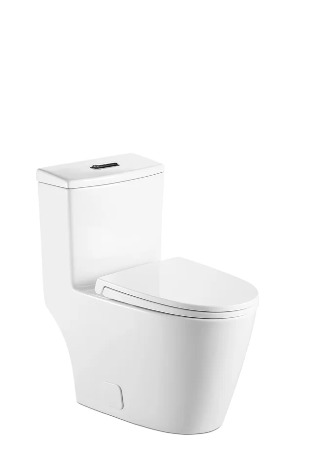 Express pack online sales toilet web sale