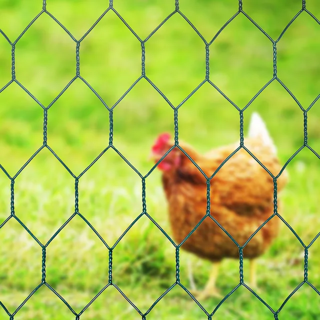 PVC Coated Hexagonal Wire Netting PVC Coated Wire Netting Green Hexagonal Netting PVC Wire Mesh