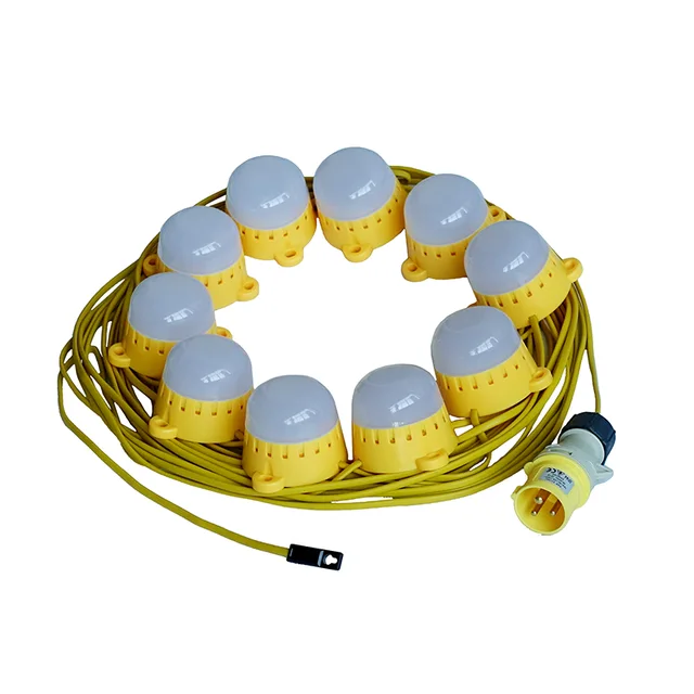 110v LED Festoon light string