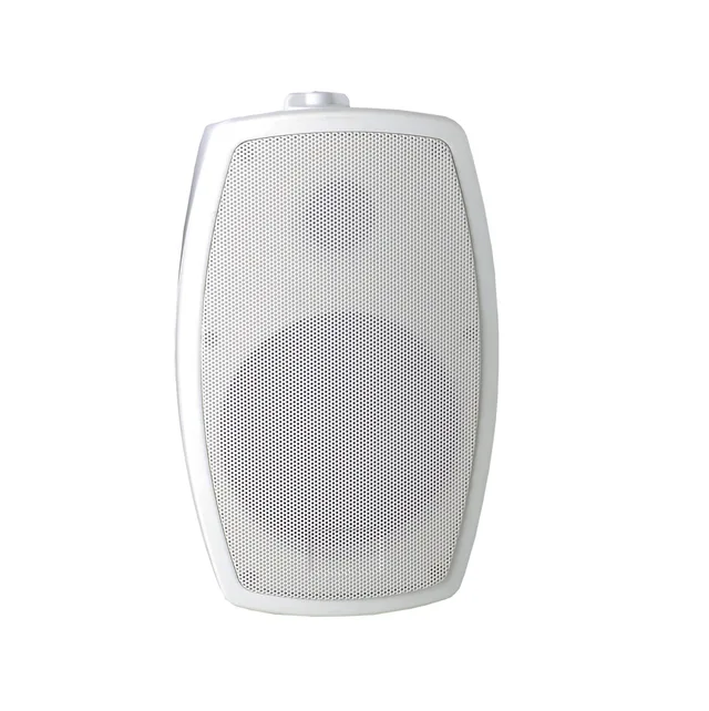 Wall mounting speaker