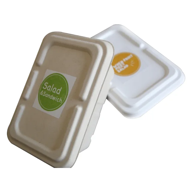 Disposable bamboo pulp Biodegradable Take Away Bento Fast Food Container