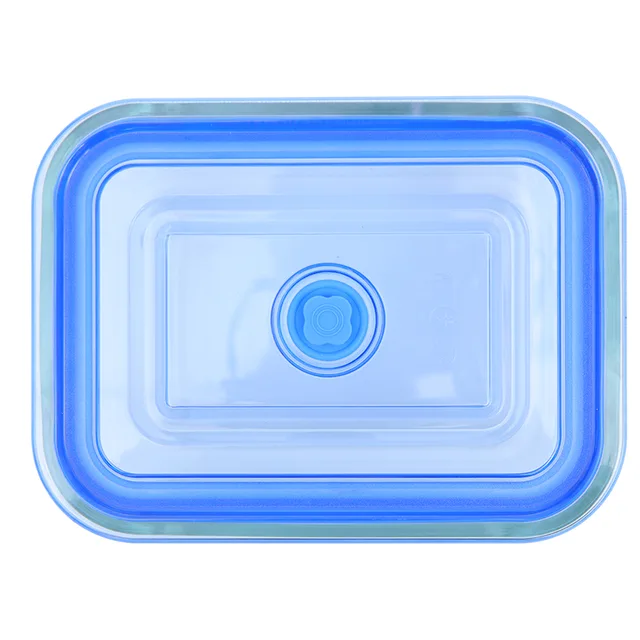 Borosilicate glass food storage container with silicone vacuum seal
