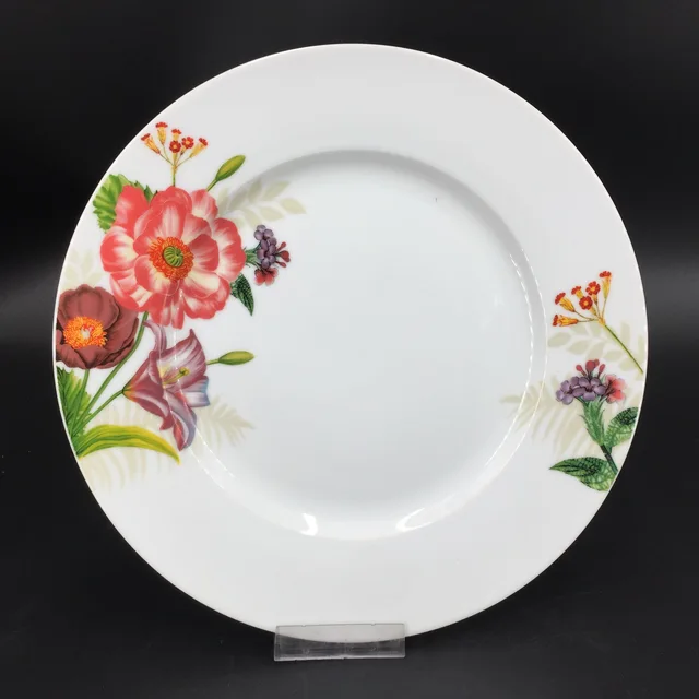 Porcelain dinner plate