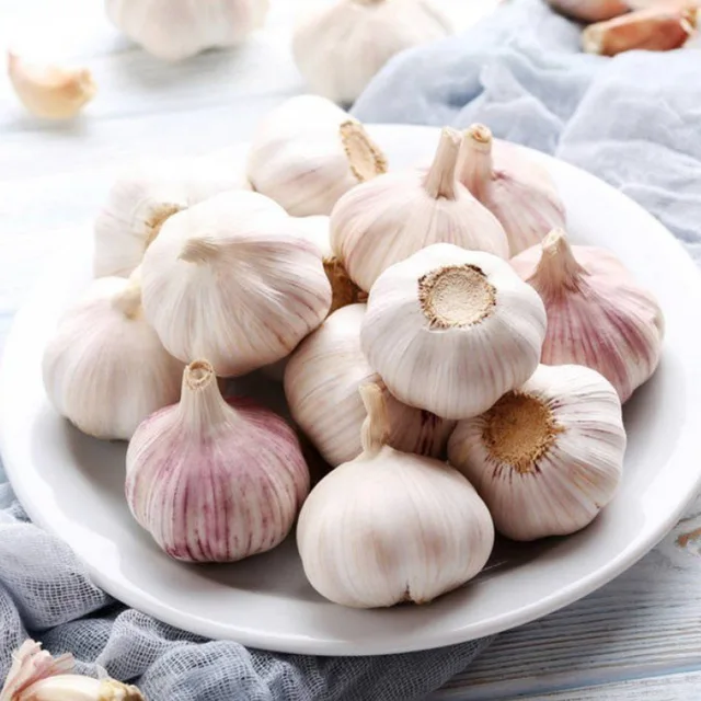 Fresh White Garlic from China Manufacturer