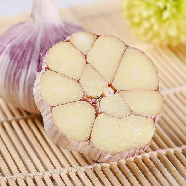 Grade A Fresh White Garlic For Sale