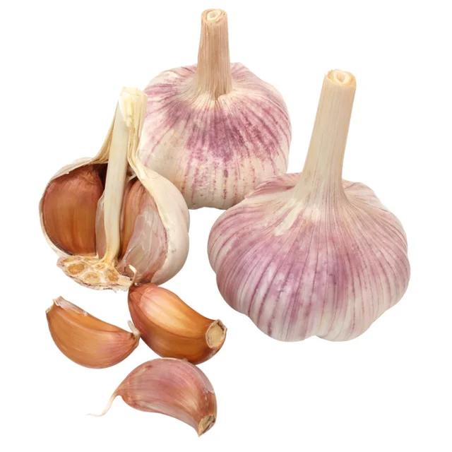 Shandong Fresh Normal White Garlic