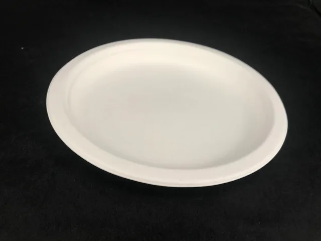 Disposable sugarcane plate