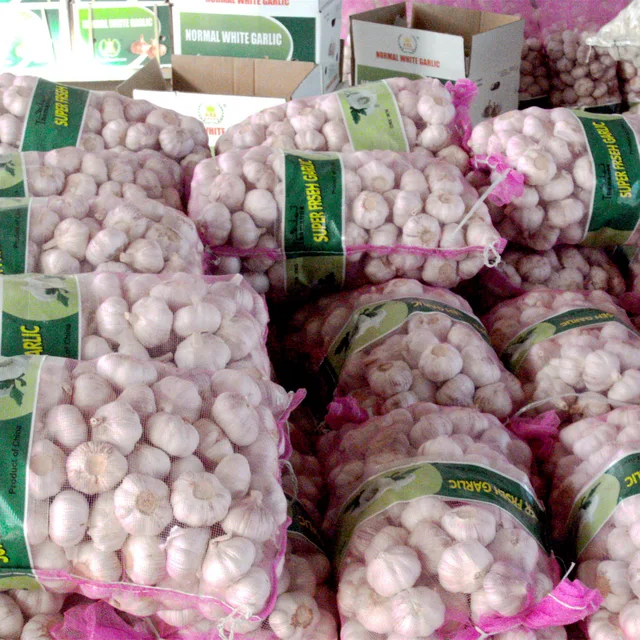 Red garlic in 10kg mesh bag
