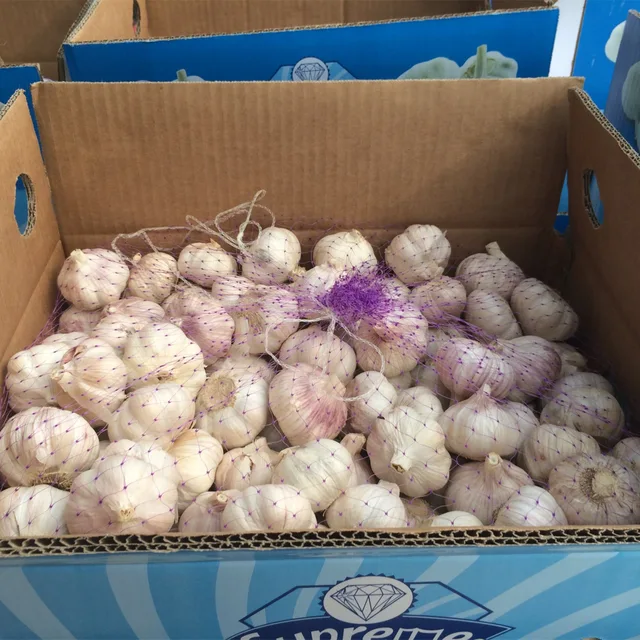 Alho Brazil Normal White Garlic