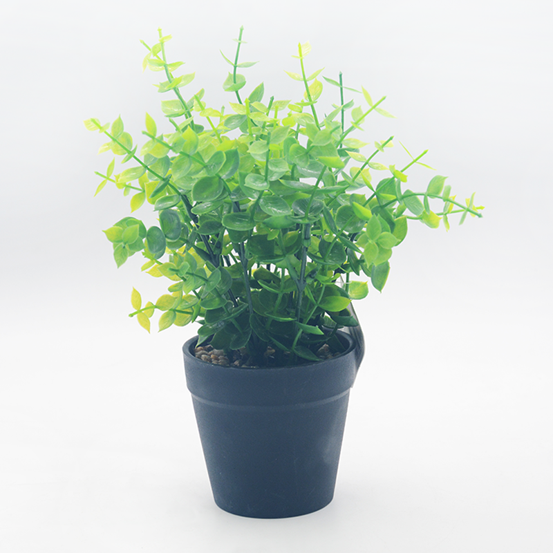 Artificial Herbs In Black Pot