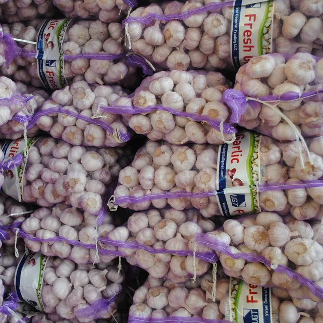 Factory direct selling normal white garlic price in Pakistan