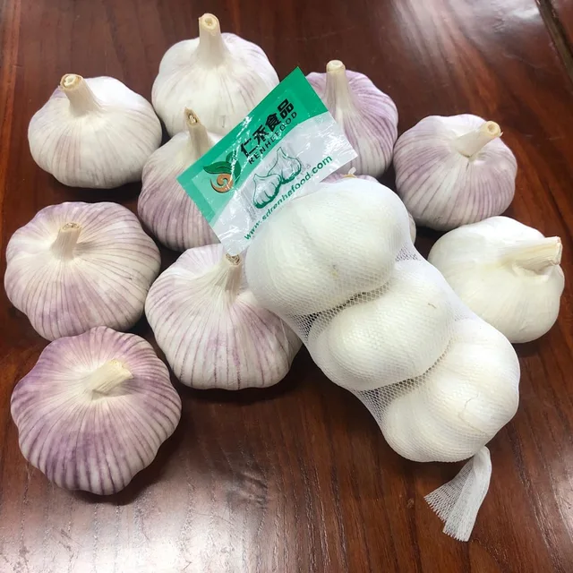 Fresh Garlic