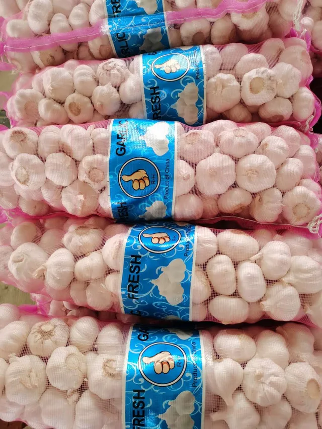 4.5-6.0cm high quality fresh normal white garlic for sale dubai