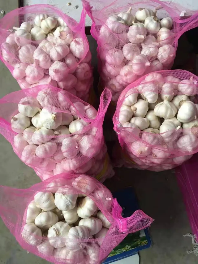 Jinxiang pure white, normal white fresh garlic 5.5cm