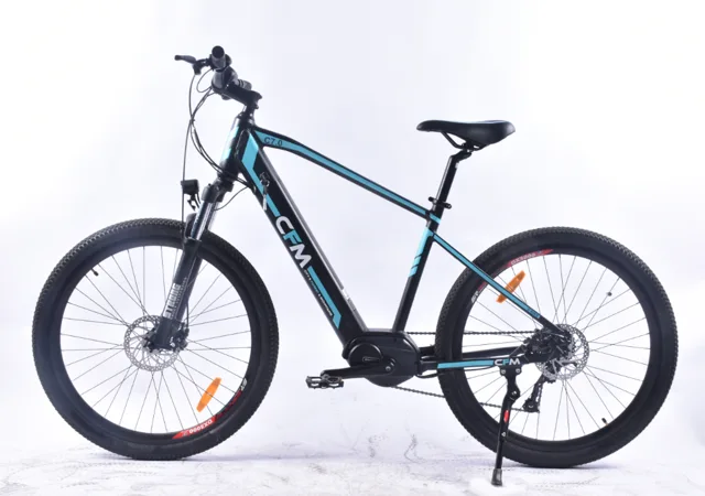 Electric bicycle