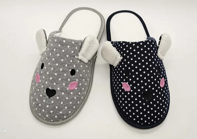 Indoor slipper shoe