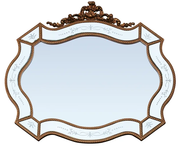 16f-691 Mirror