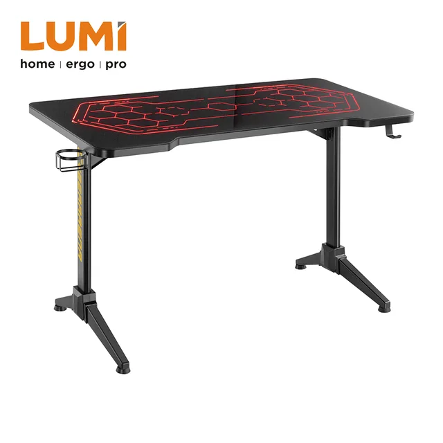 Computer Gaming Desk with RGB Lighting
