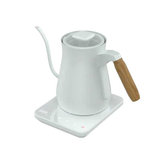 Gooseneck Kettle
