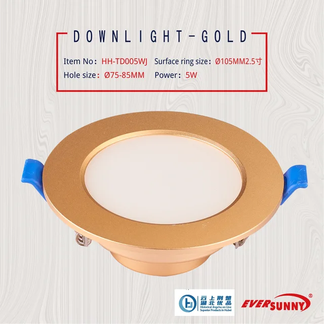 LED Down Light