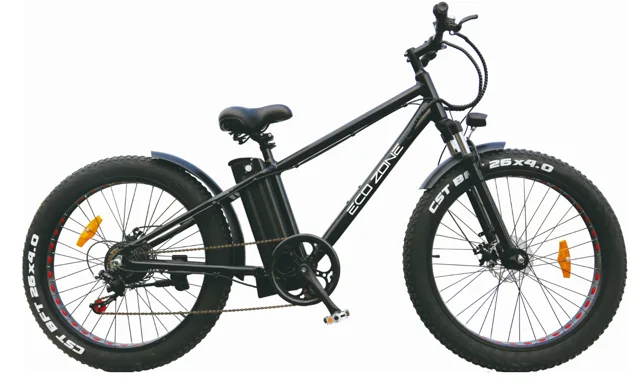 26 inch fatbike snowbike beach crusier ebike with CE