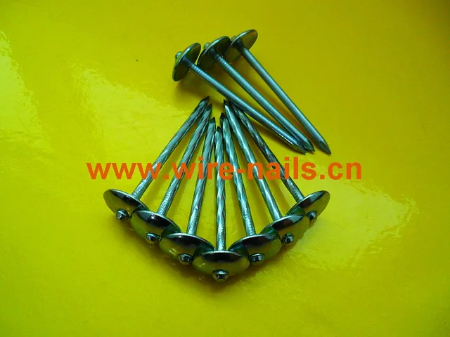 Galvanized Umbrella Roofing Nail