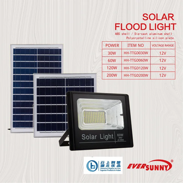 LED Flood Light