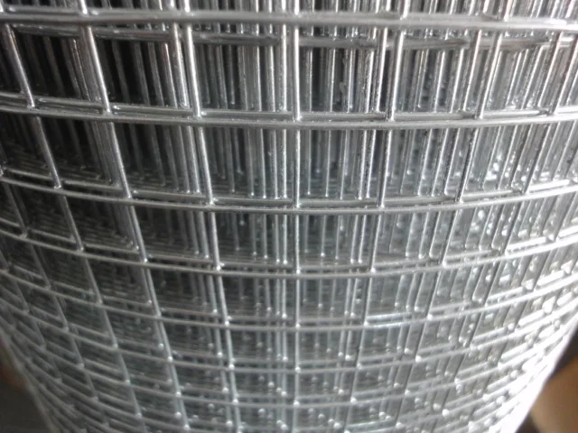 Galvanized square welded wire mesh for garden fence