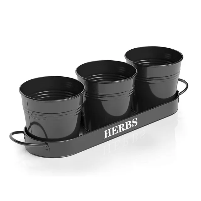 Set of 3pcs herbs planter on the tray