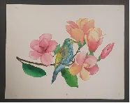 Watercolor Painting by number