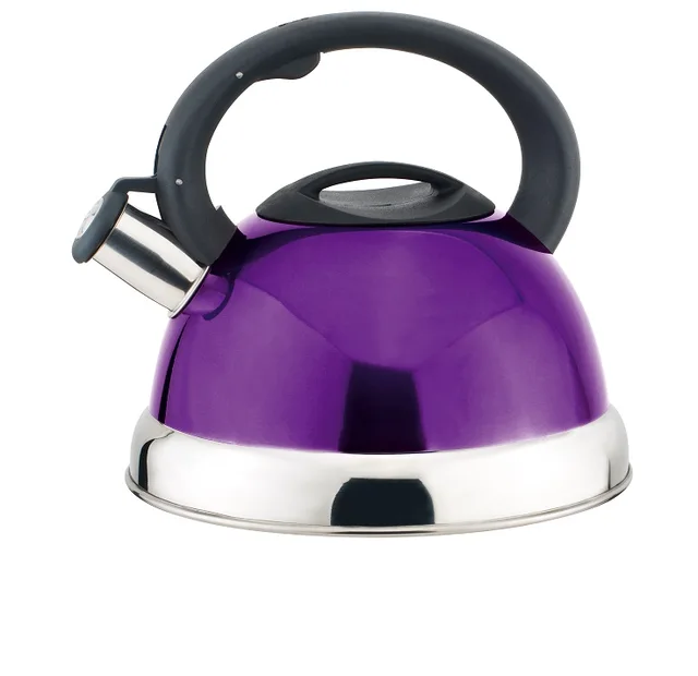 Stainless steel whistling kettle