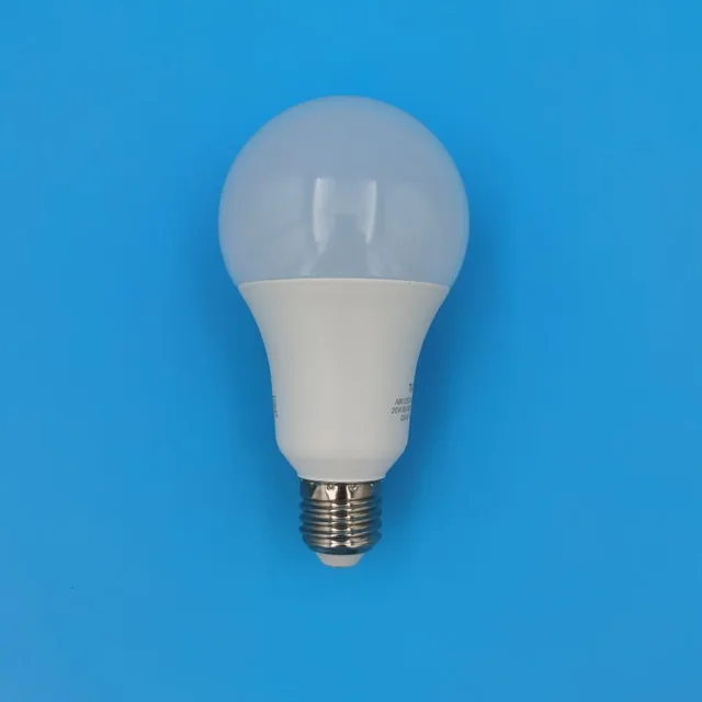 A80 Led Globe Bulb