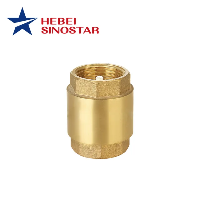 Check Valve