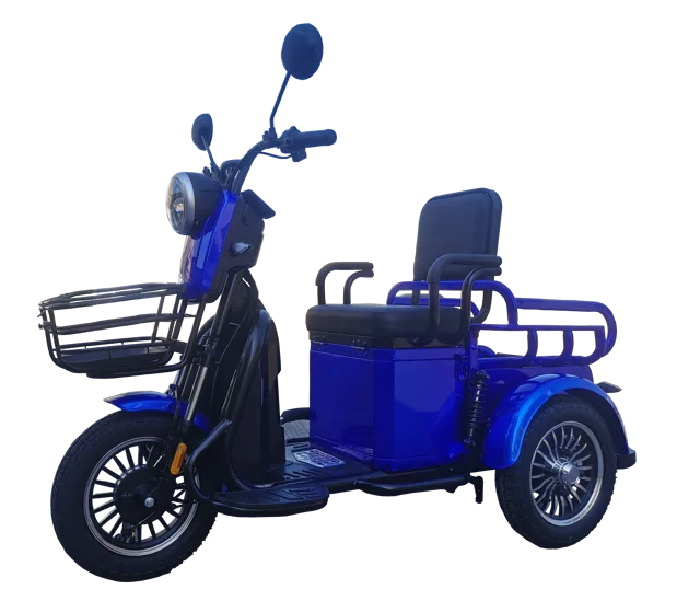 Electric tricycle for two people 500W