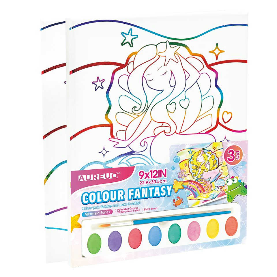 Colour Fantasy Canvas Panel Paintingset