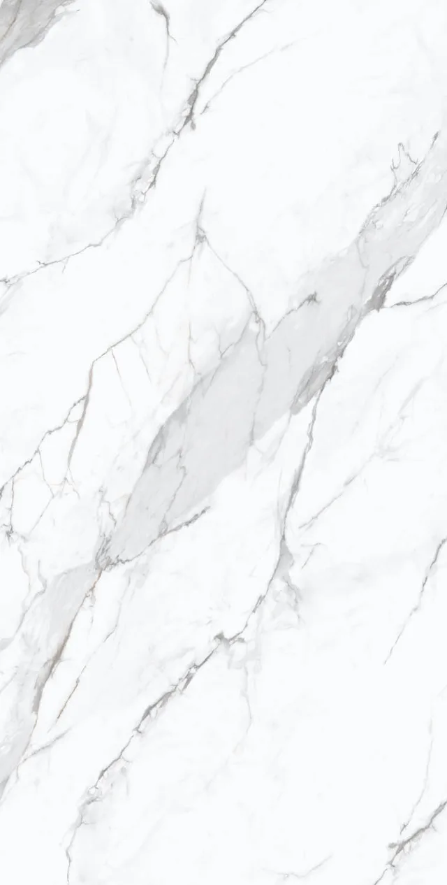 # Porcelain Slab/Porcelain Tile/Floor Tile/Wall Tile/Marble Tile/Glazed Tile 160-320DBLP12856M