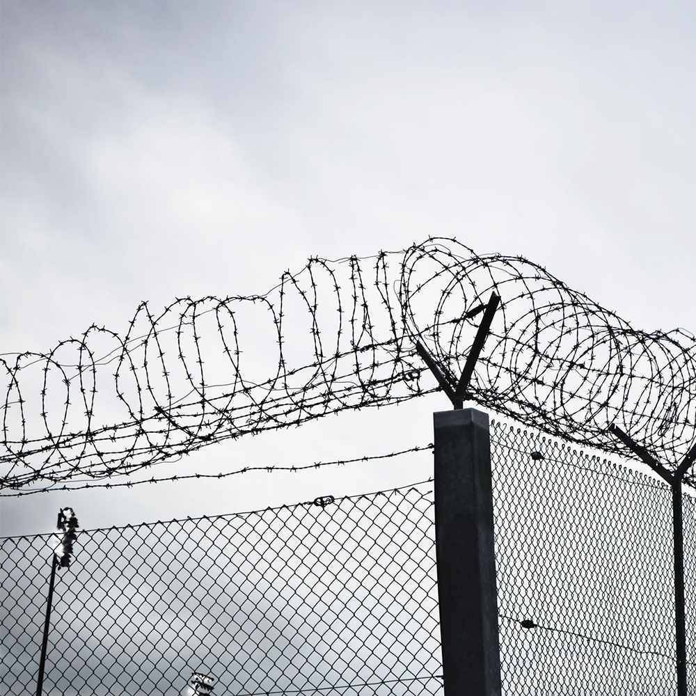 Razor Wire Wire Mesh