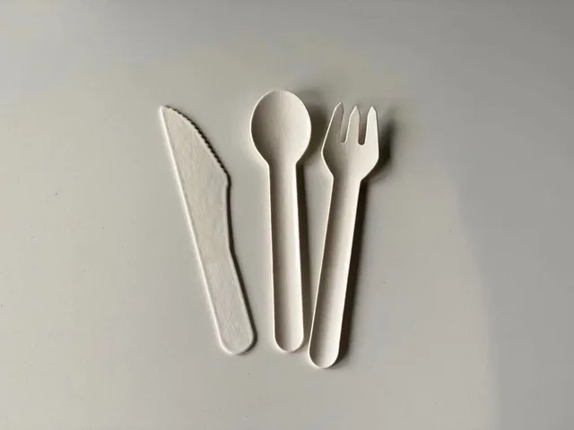 Paper spoon, fork and knife, paper tableware