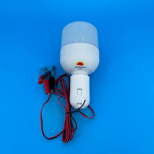 DC12V T80 LED Bulb