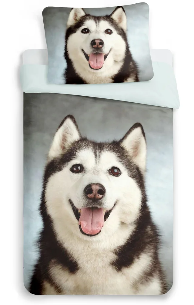 Quilt cover set
