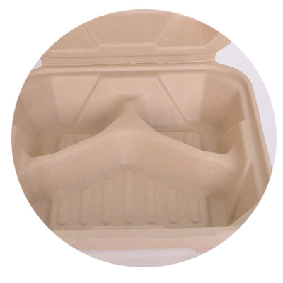 Biodegradable Sugarcane Bagasse Lunch Box